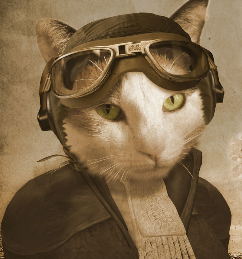 Public Service Announcement